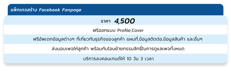 รับทำเพจ