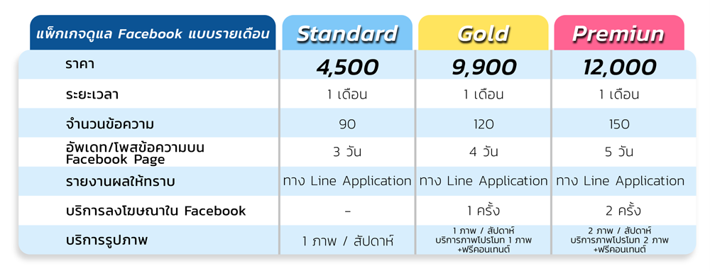 รับทำเพจ