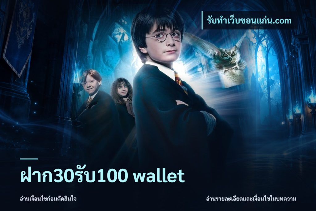 ฝาก30รับ100 wallet